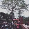 juliapurnamadewis