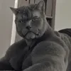 suongsahotluu0