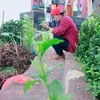 mas_bimo