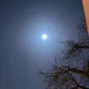 leeela333