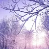 lulysk