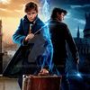 alex.gryffinclaw9819