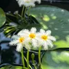 vn.sn.thng1