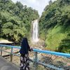 kikips105