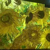 2145875151news