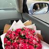 rhoom26x