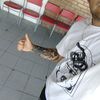 the.king.hurtado