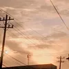 wnq._