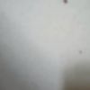 sibro12345