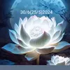 danthanh0609