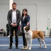 quenipauli_doghandling