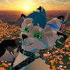 risnorwolf