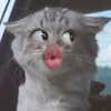 xx_qxxx