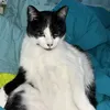 martinabalbontin3