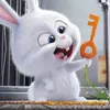 qnmingg