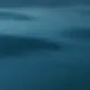 alyndolado