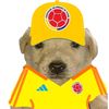 camilooox11