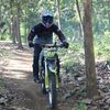 taufiqpro4