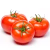 organic.food05