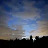 d_mae2