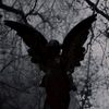mental_grave