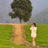 dohien_maytredan_decor
