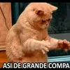 alecabj6