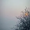 𝘽𝙖𝙪𝙩𝙧𝙤𝙞𝙭𝙖𝙣𝙝