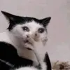 minielucsi