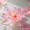 kavanniephung0211