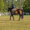 mika_gravelle35