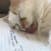ntbkqd