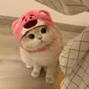 gayoidoitennn