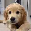 wanwanbox
