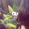 cookie_n_cremee