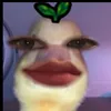 miraa_val