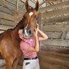 JM Equestrian