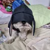 marthatavares3