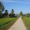 nguoibinhthuong999