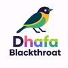 dhafa_blackthroat