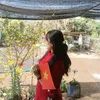 cuccuc0211