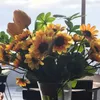 myxu_16091211