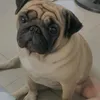 wwinnol