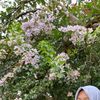 xixi_935