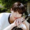 nevan_ness.aaa