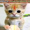 venu_kareti