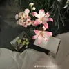 nhinhi_19031