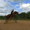 siema_byku18
