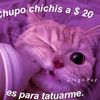 edgarrem