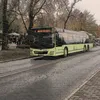 autobusowy_czlowiek